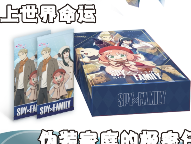 Wink Spy X family box/ticket card